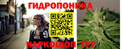 spice Будённовск